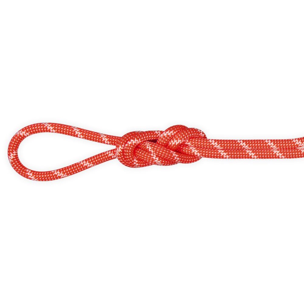 8.0 Alpine Classic Rope 30m assorted