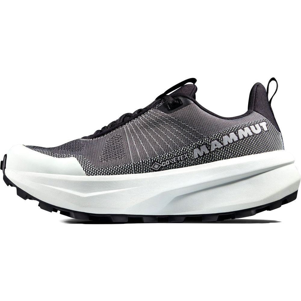 Aenergy Mtn Low GTX Women black-silver sage