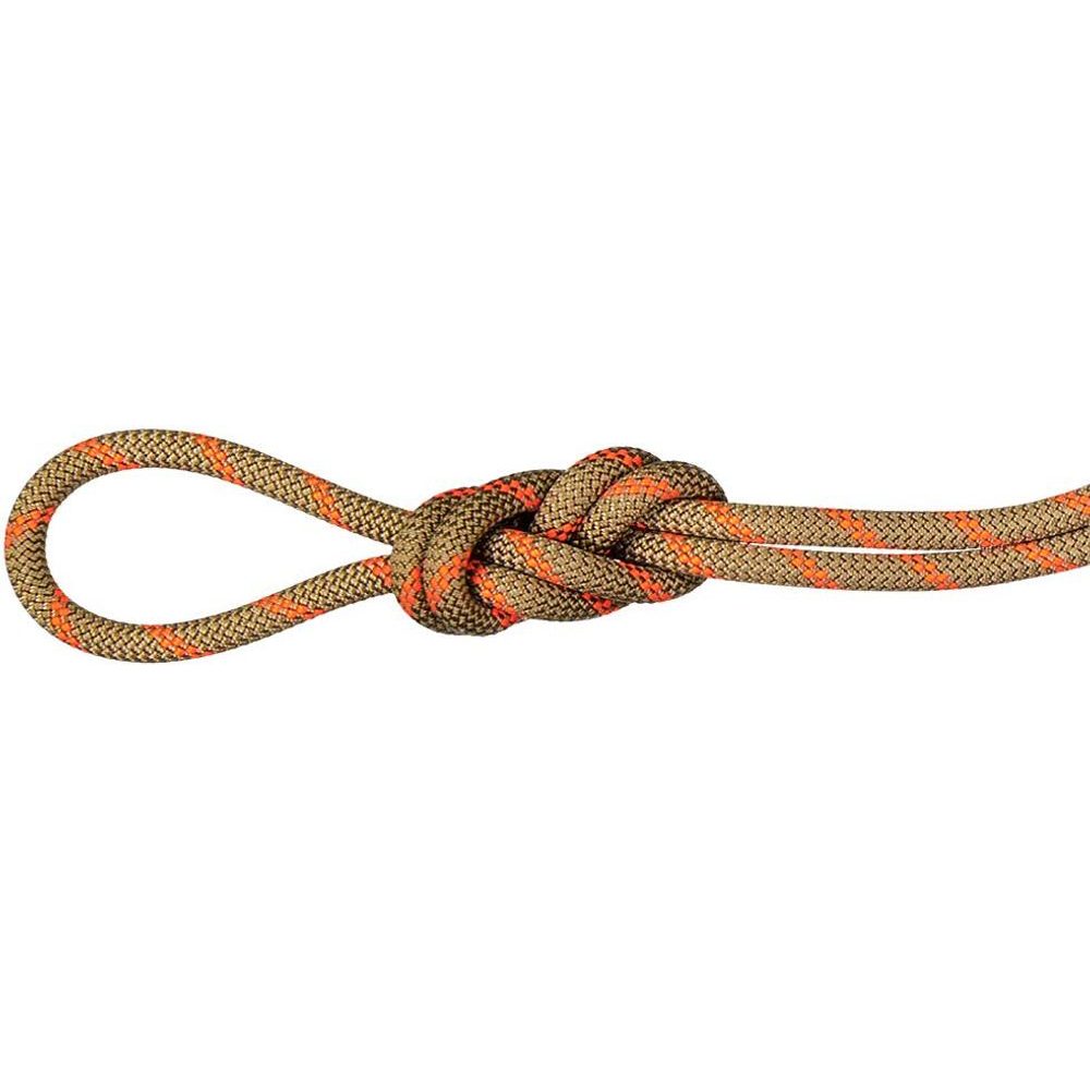 8.0 Alpine Dry Rope 70m boa-vibrant orange