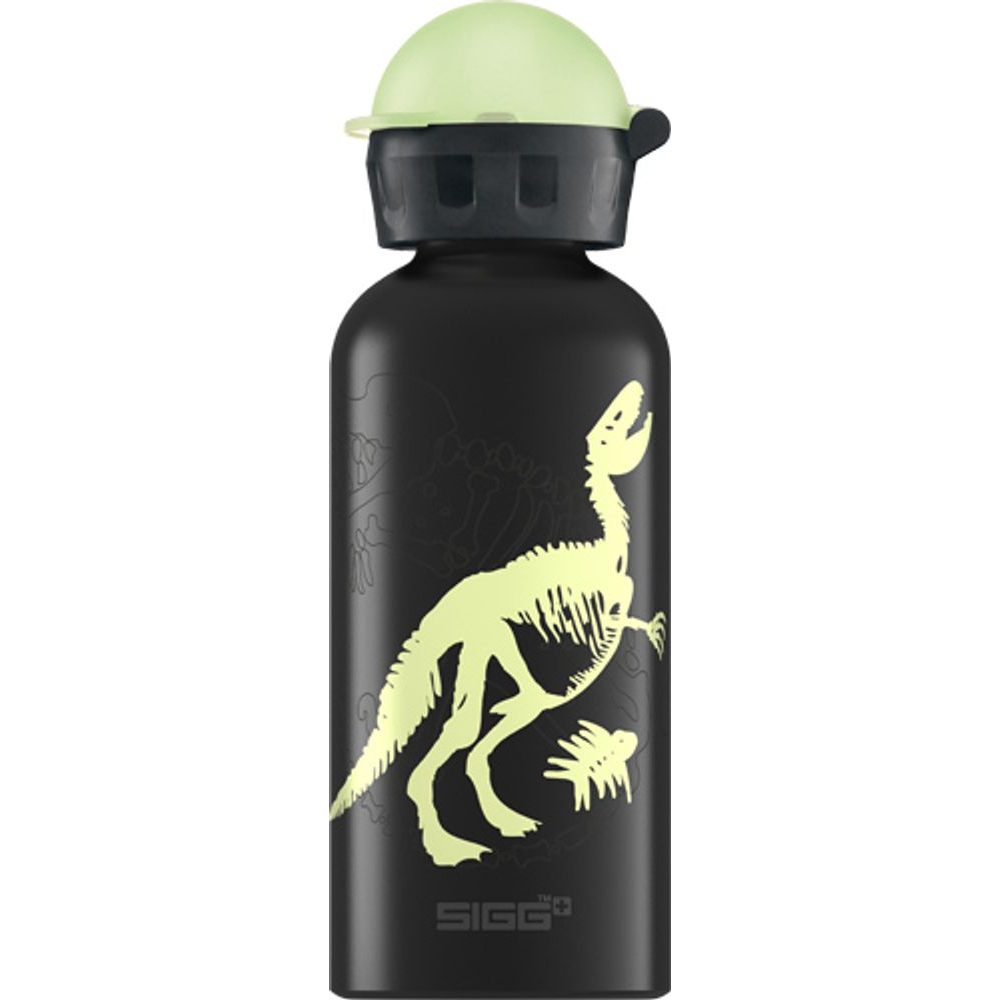 8262.60 Lahev PRIMEVAL GLOW 0.4 L