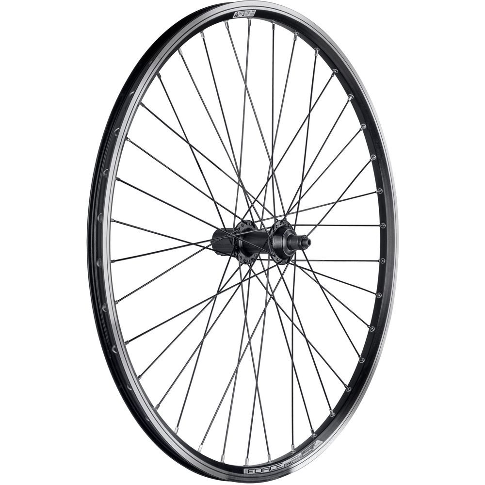 F CLASSIC 559x19 "V" FHT3000 36d