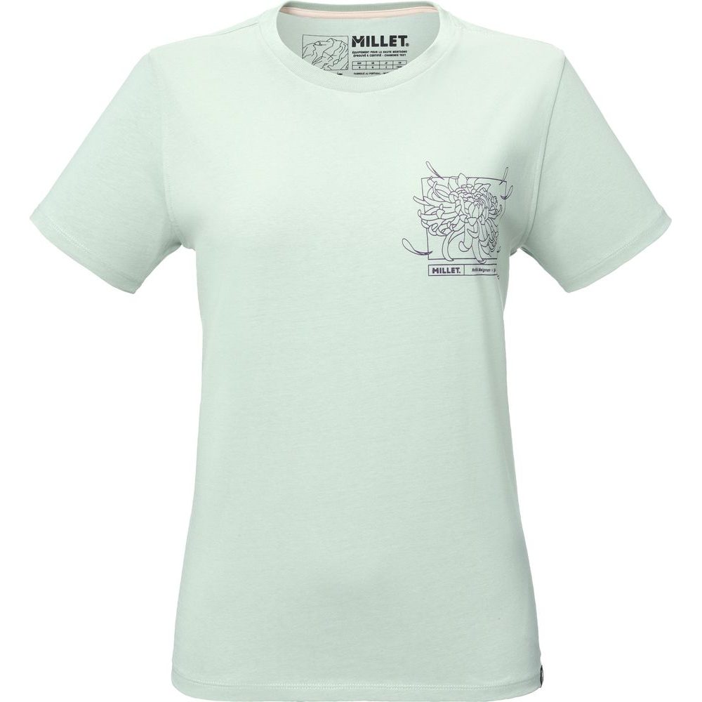 CIMAI COLLAB TS SS W SEAWEED