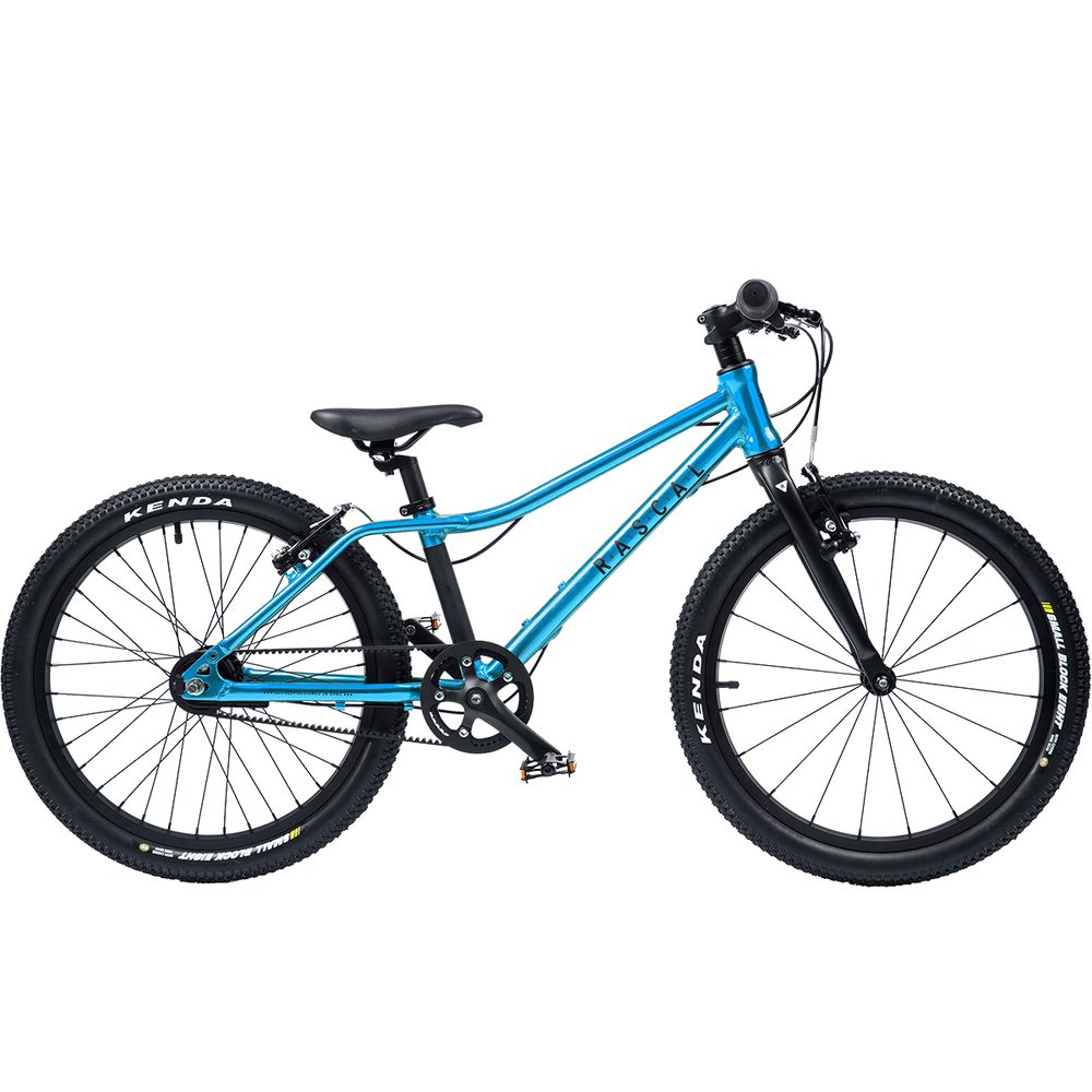 RASCAL 20" Aquamarine