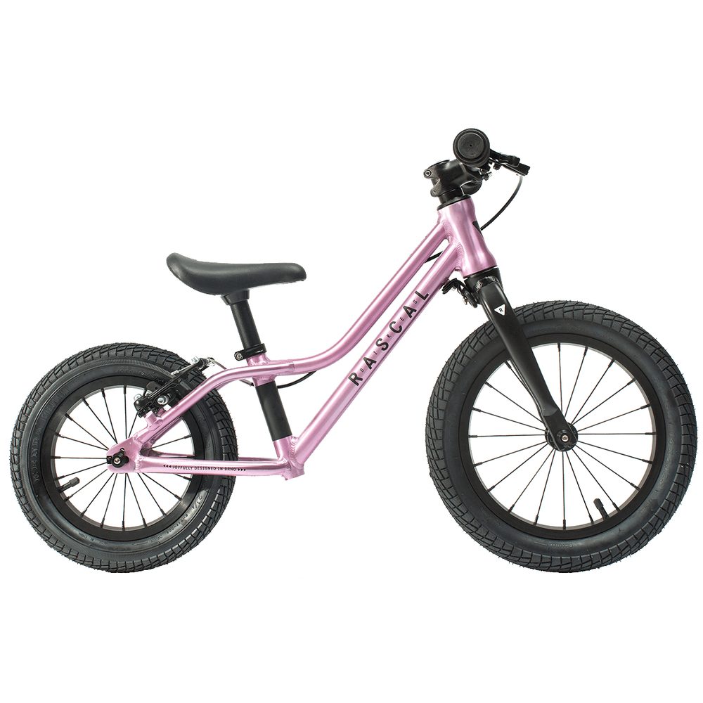 RASCAL PUNK, Raspberry