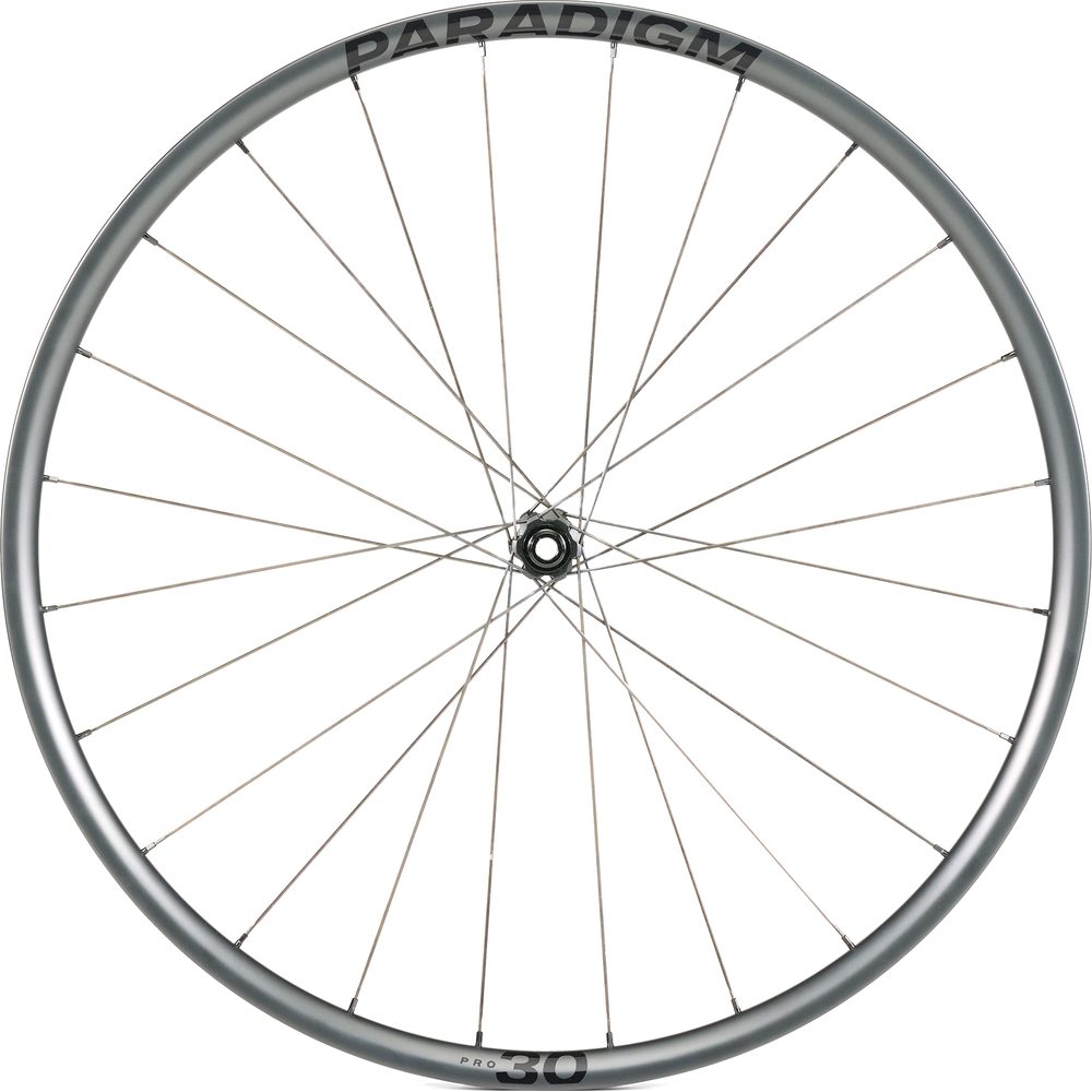 Paradigm Pro 30 Disc 12T, černá