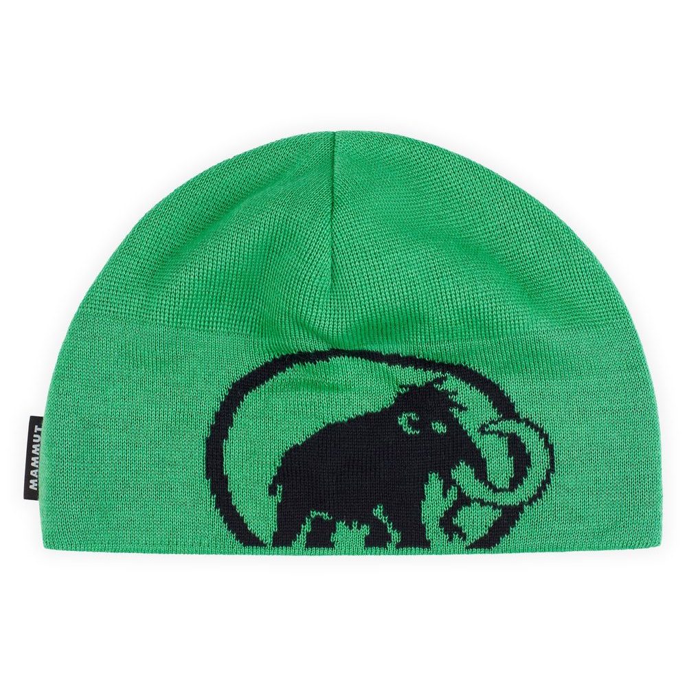 Tweak Beanie pinea-black