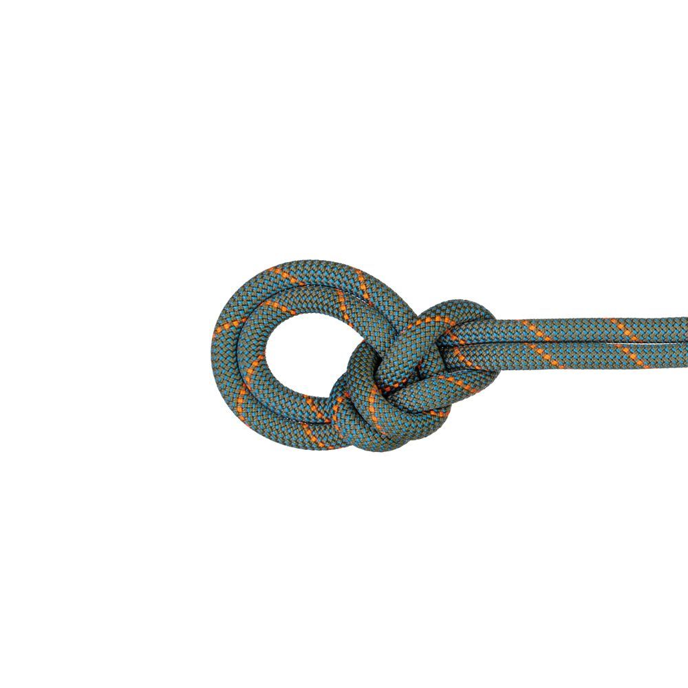 9.9 Crag Workhorse Dry Rope Boa-ocean