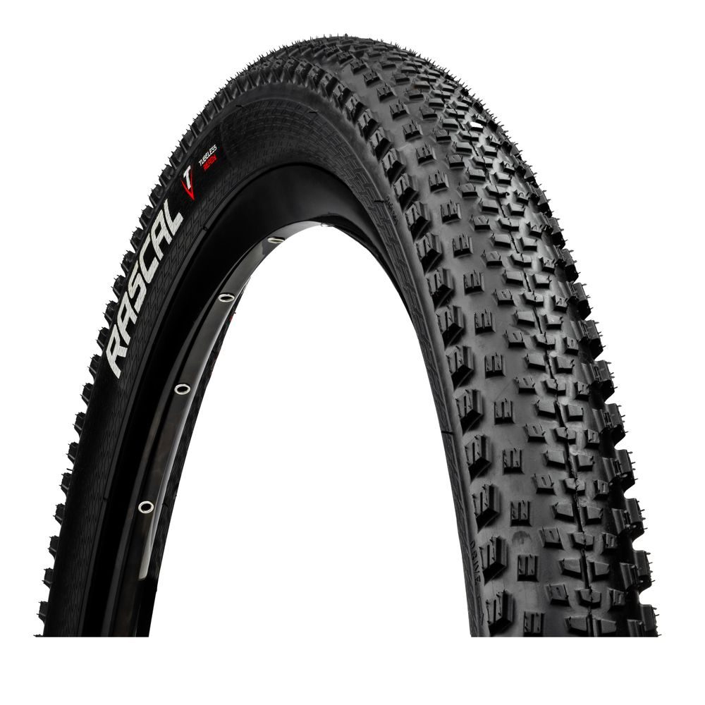 29 x 2,25, R25 RASCAL, kevlar, černý