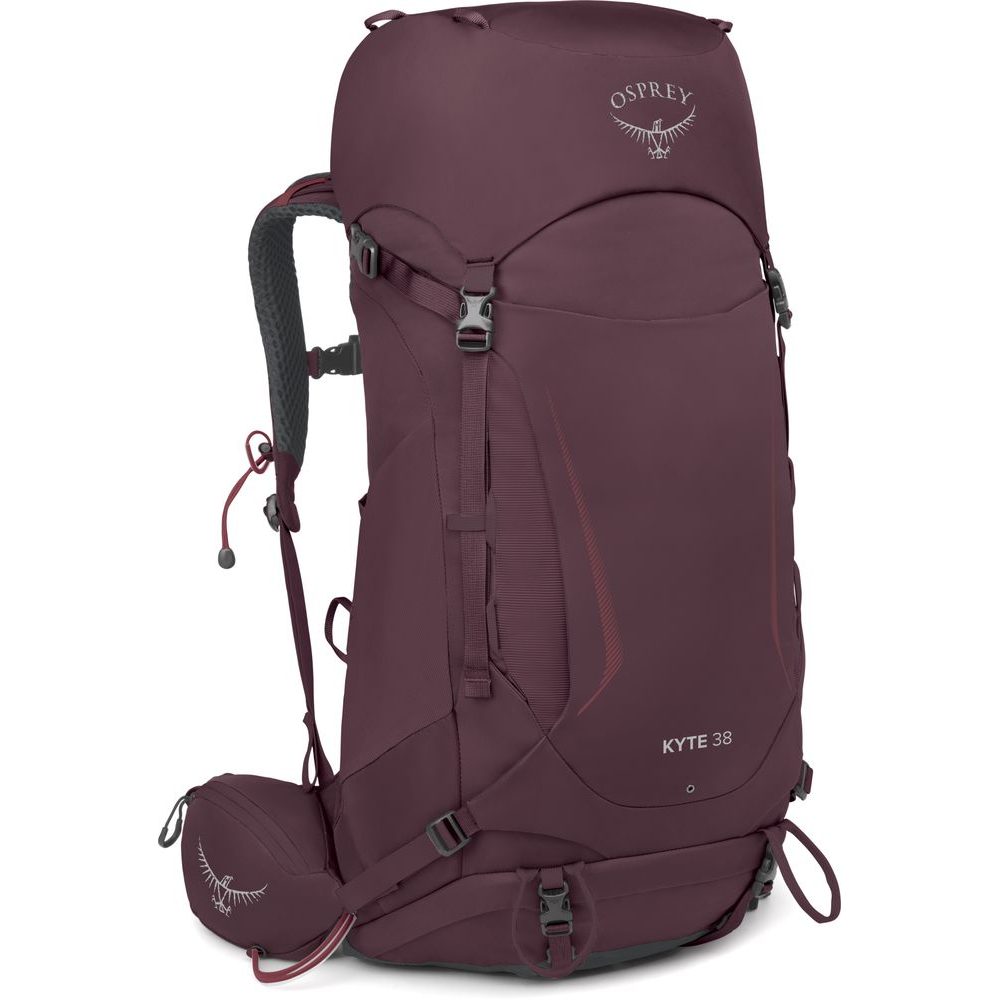 KYTE 38, elderberry purple