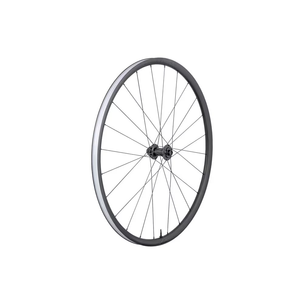 Wheel Front  Paradigm 23 Disc 12T Black Front