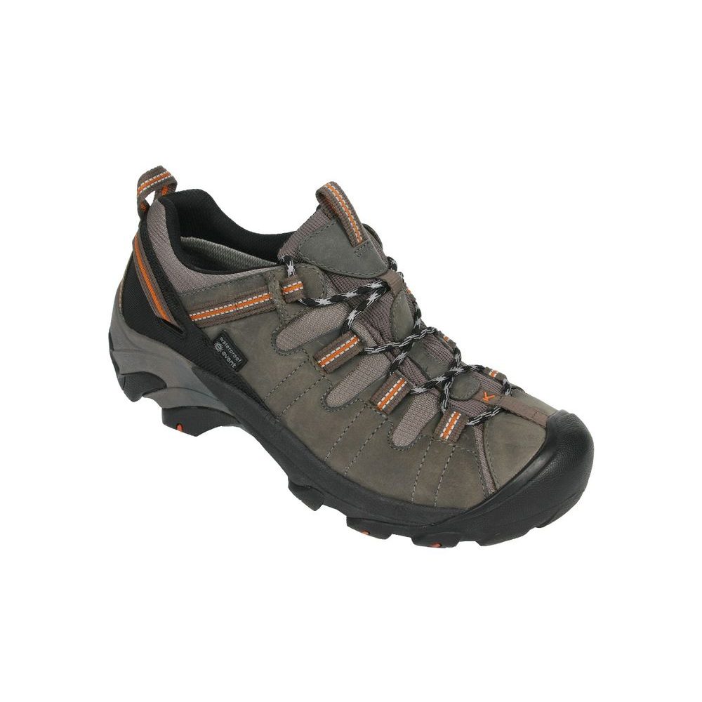 TARGHEE II MGRU