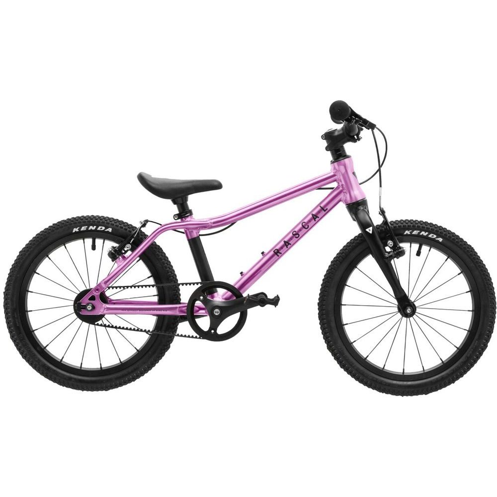 RASCAL 16" Raspberry