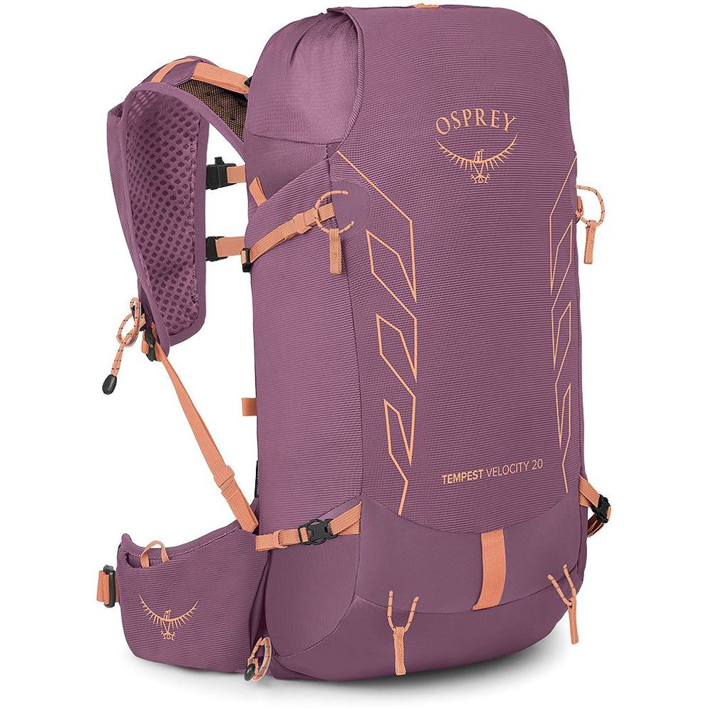 TEMPEST VELOCITY 20, pashmina/melon