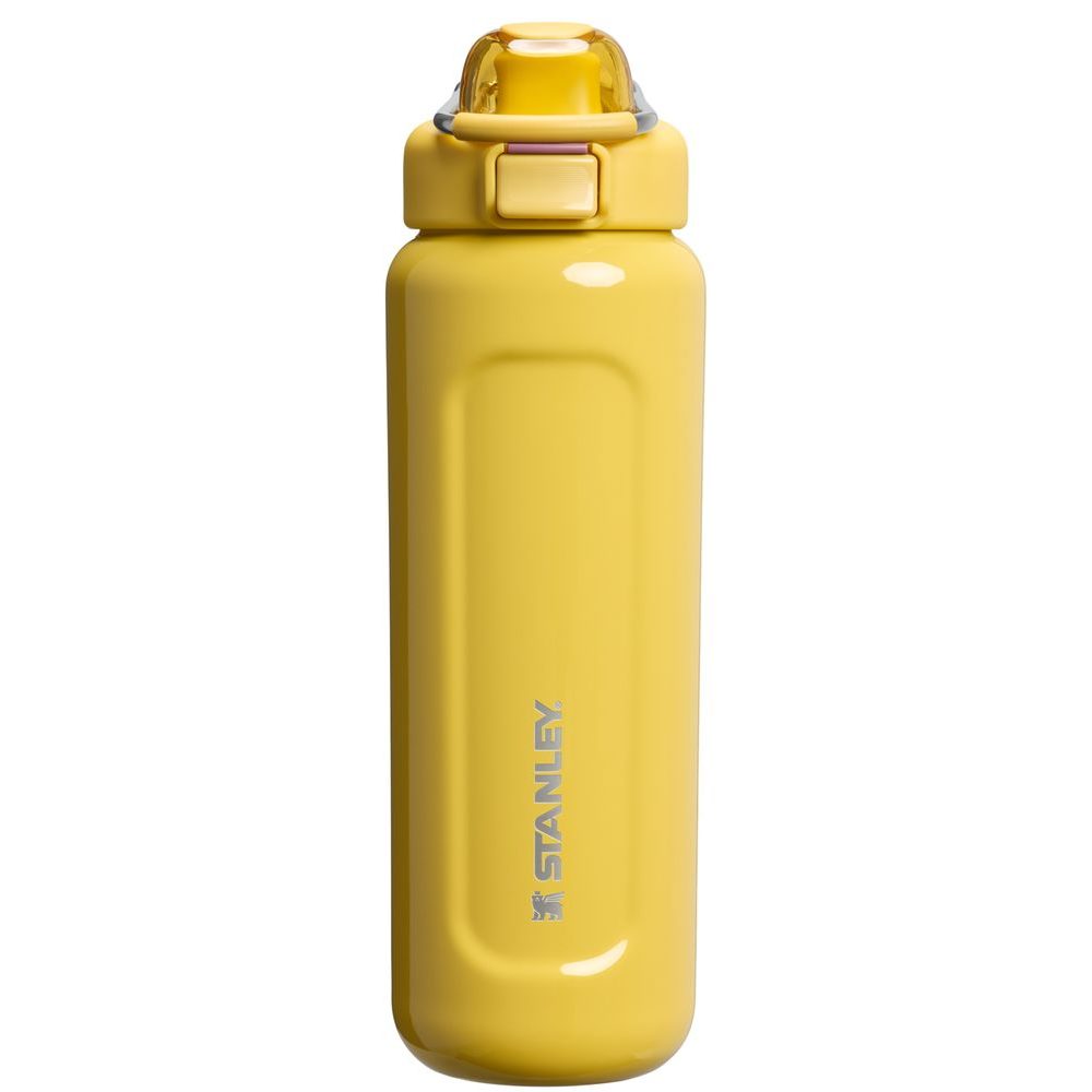 Wellspring Bottle 700 ml Dijon Gloss