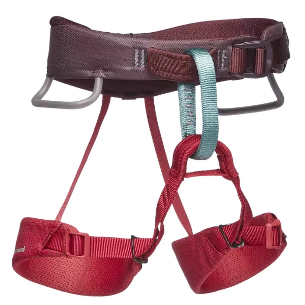 MOMENTUM HARNESS - KIDS' Wild Rose