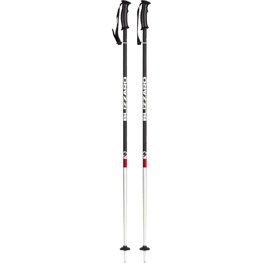 Rental ski poles