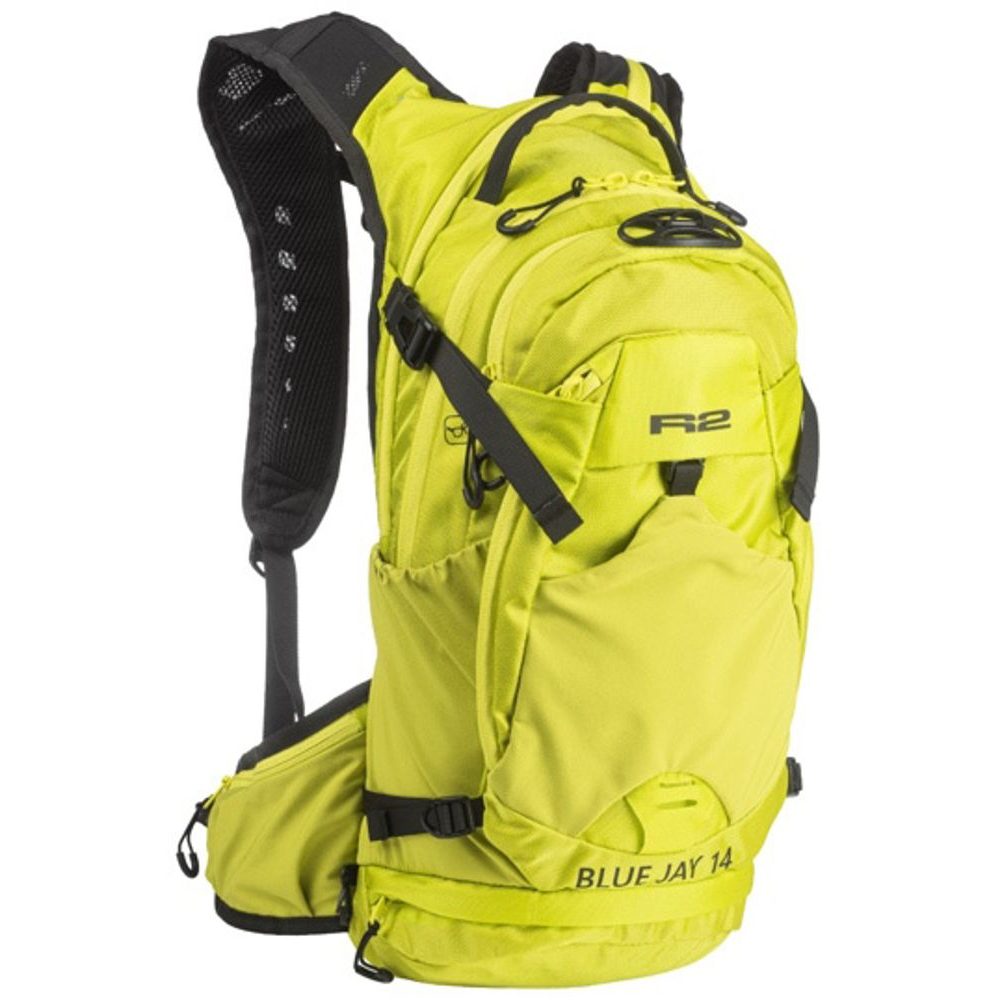 BLUE JAY 14 yellow