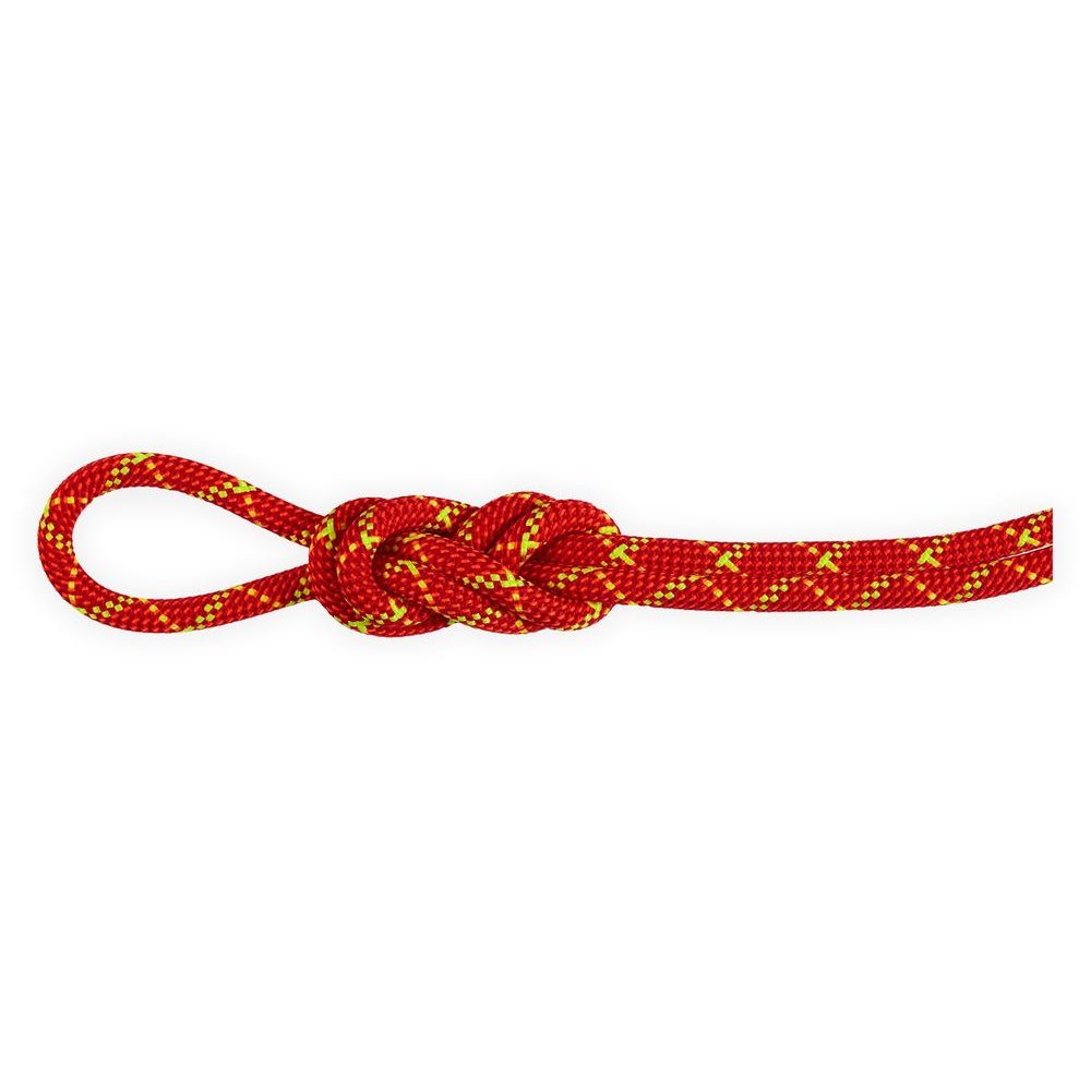 8.0 Alpine Core Protect Dry Rope 60m fire-halo