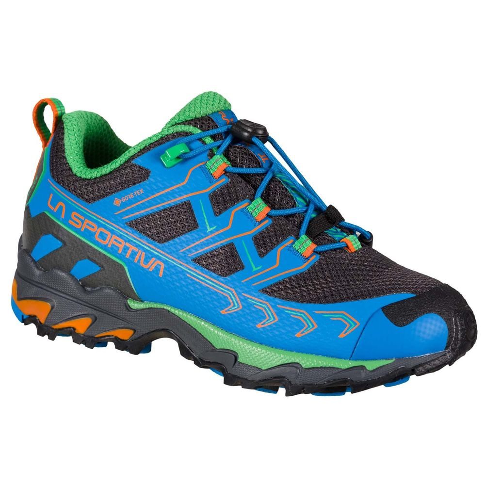 Ultra Raptor II JR Gtx, Electric Blue/Flame