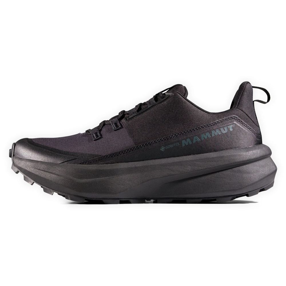 Aenergy Hike Low GTX Women black