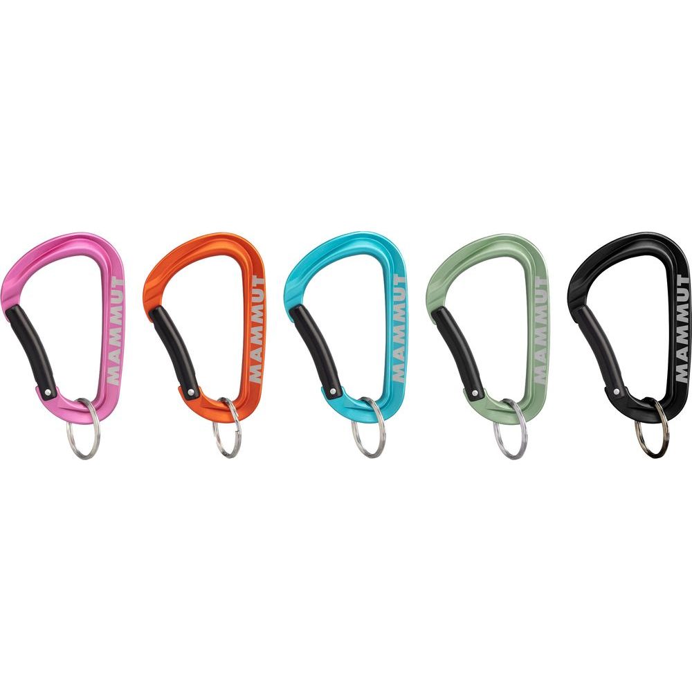 Mammut Mini Carabiner Workhorse Keylock L assorted