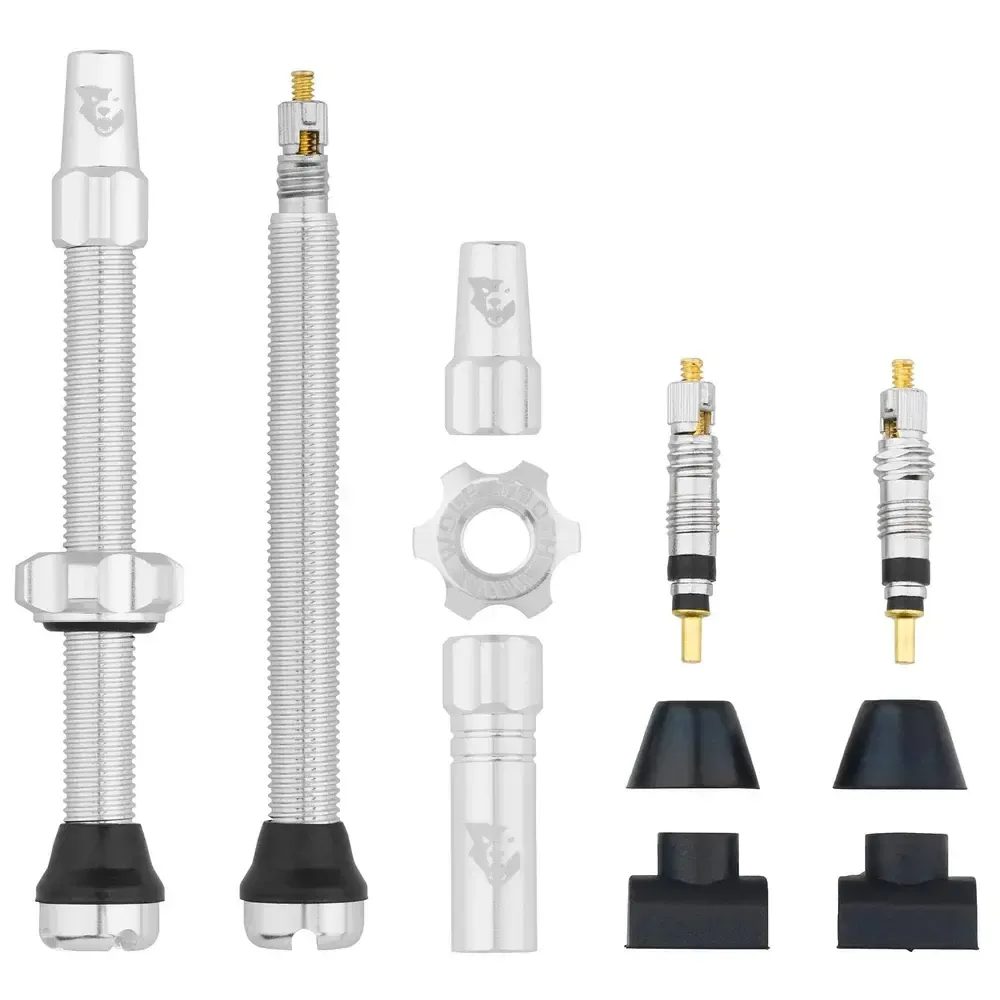 Tubeless Valve Stem Kit 60mm Raw Silver