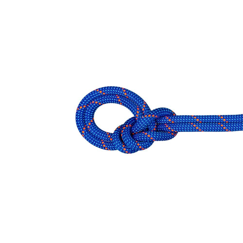 9.5 Crag Dry Rope blue-ocean