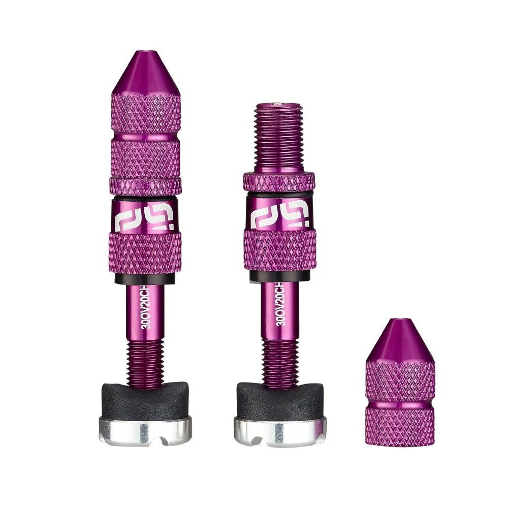Schrader Quickfill Tubeless Valves | Gen2 | 23-31mm Depth | 2 Pieces | Eggplant