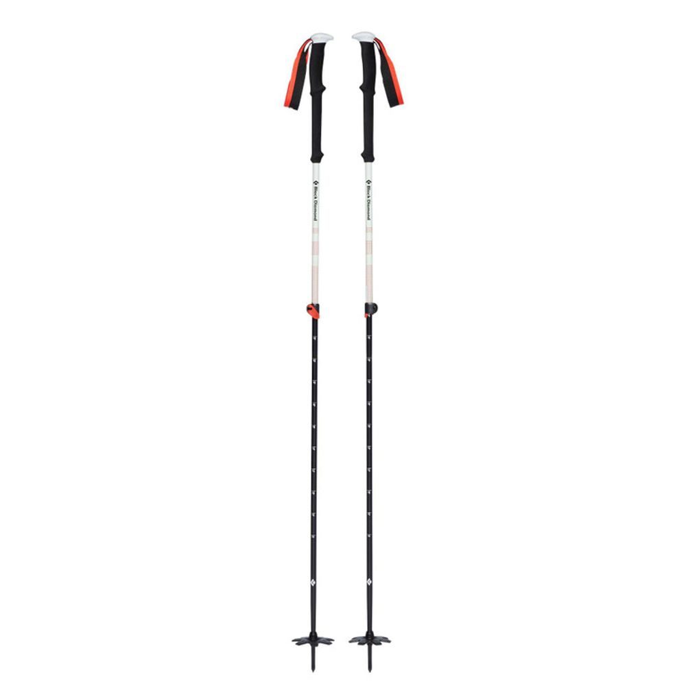 EXPEDITION 2 SKI POLES