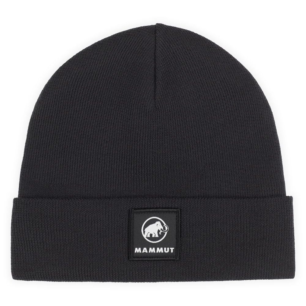 Fedoz Beanie black