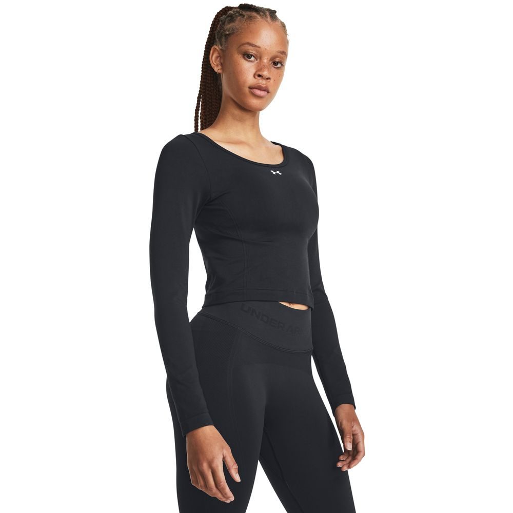 Train Seamless LS-BLK