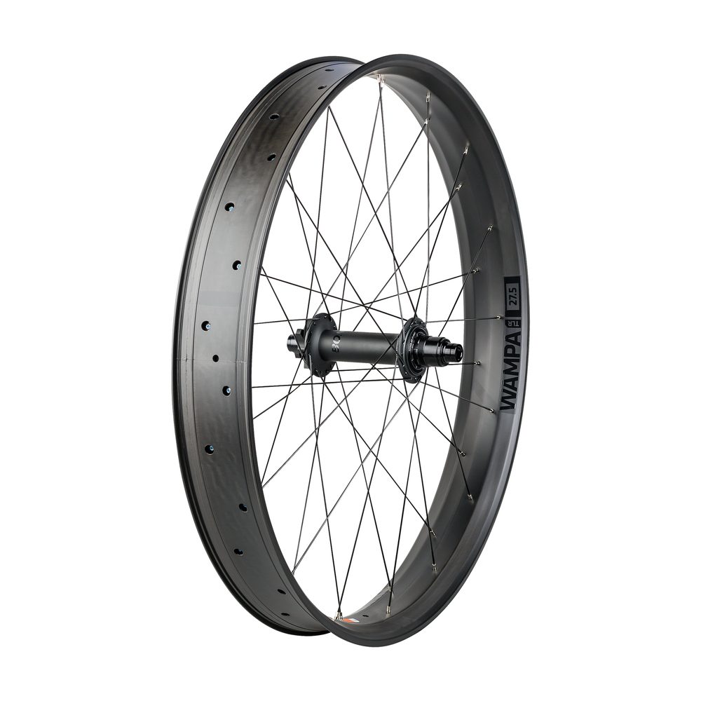 Wampa Rear TLR Disc 27.5 Black
