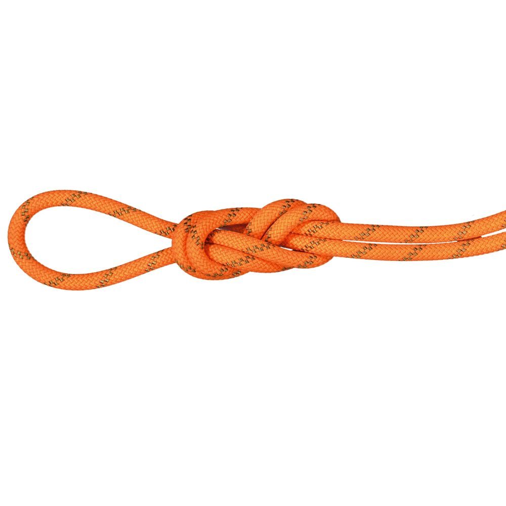 8.0 Alpine Dry Rope, Safety orange-boa