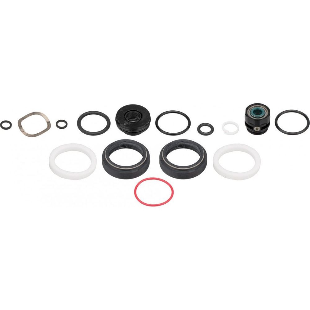 AM SVC KIT 200H/1YR LRKPIK29+ 2P CH2 B1