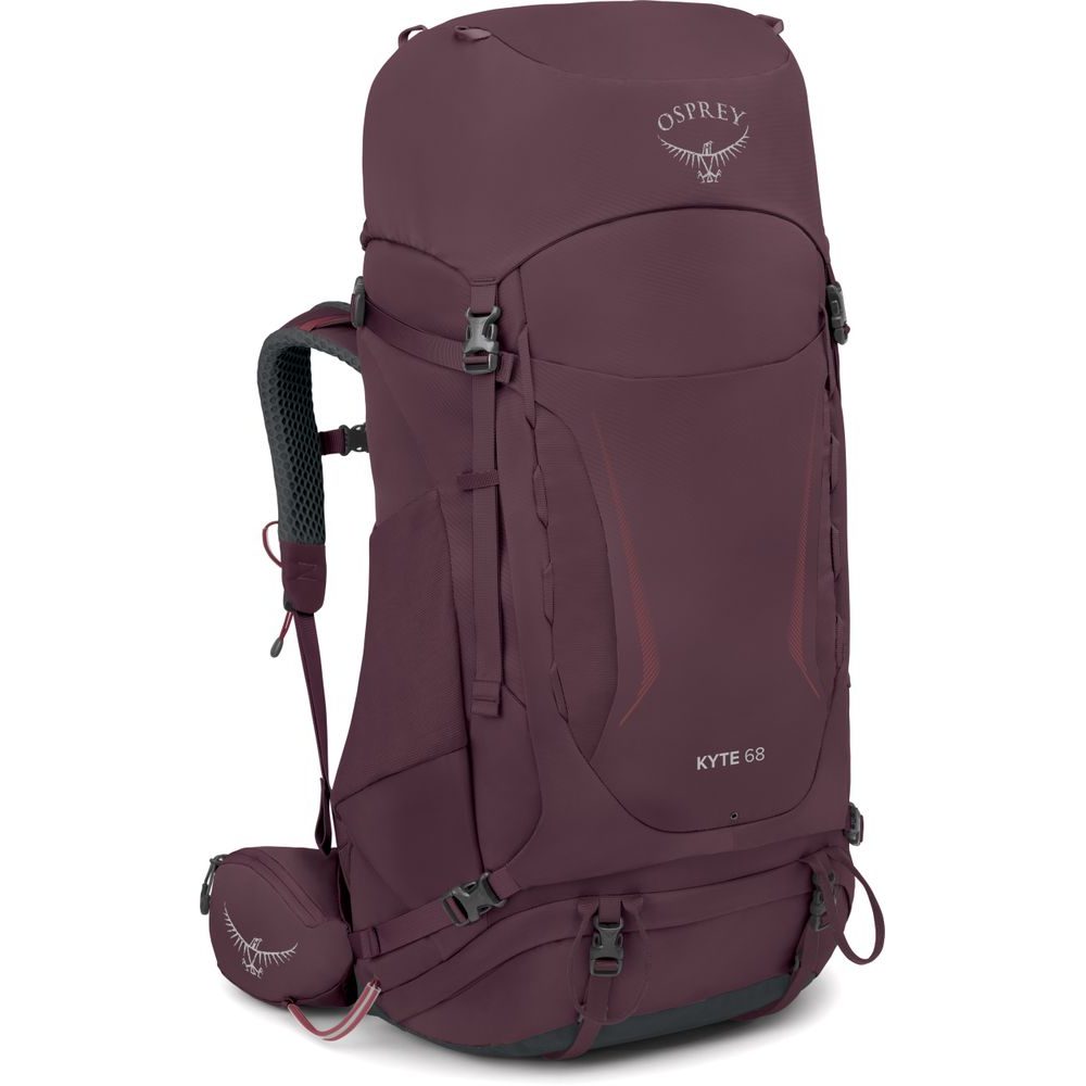 KYTE 68, elderberry purple
