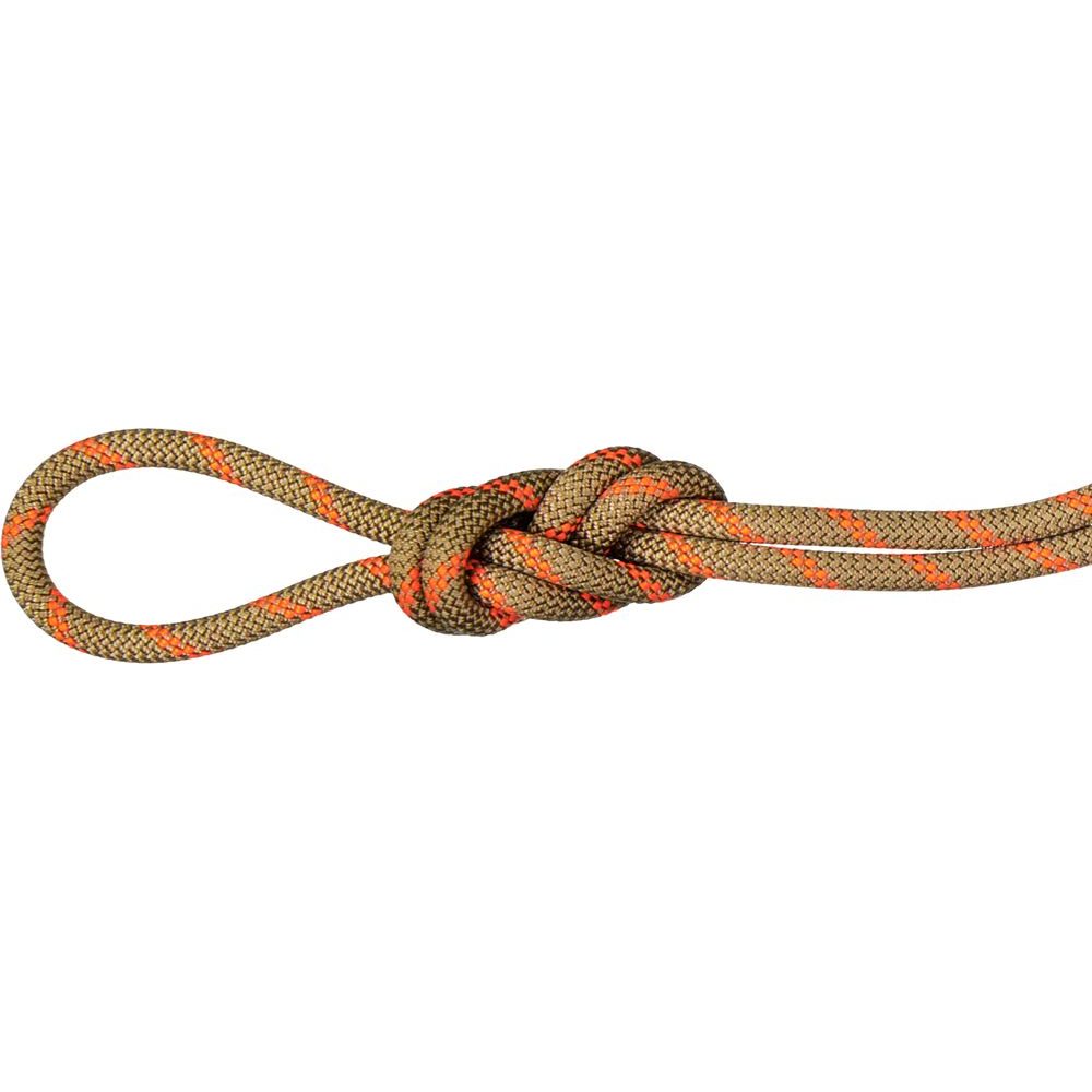 8.0 Alpine Dry Rope 60m boa-vibrant orange