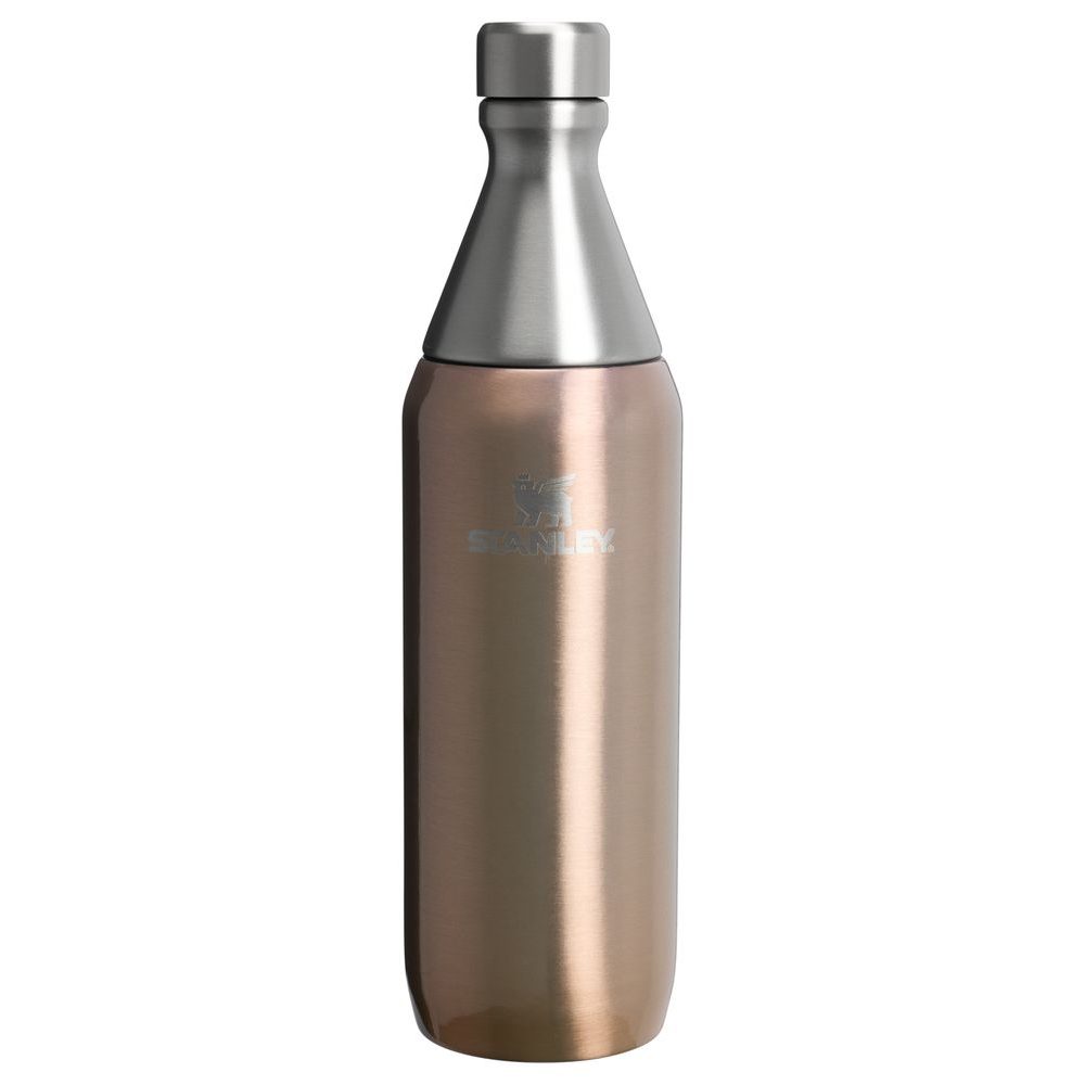 All Day Slim Bottle 600 ml Pale Gold Shine