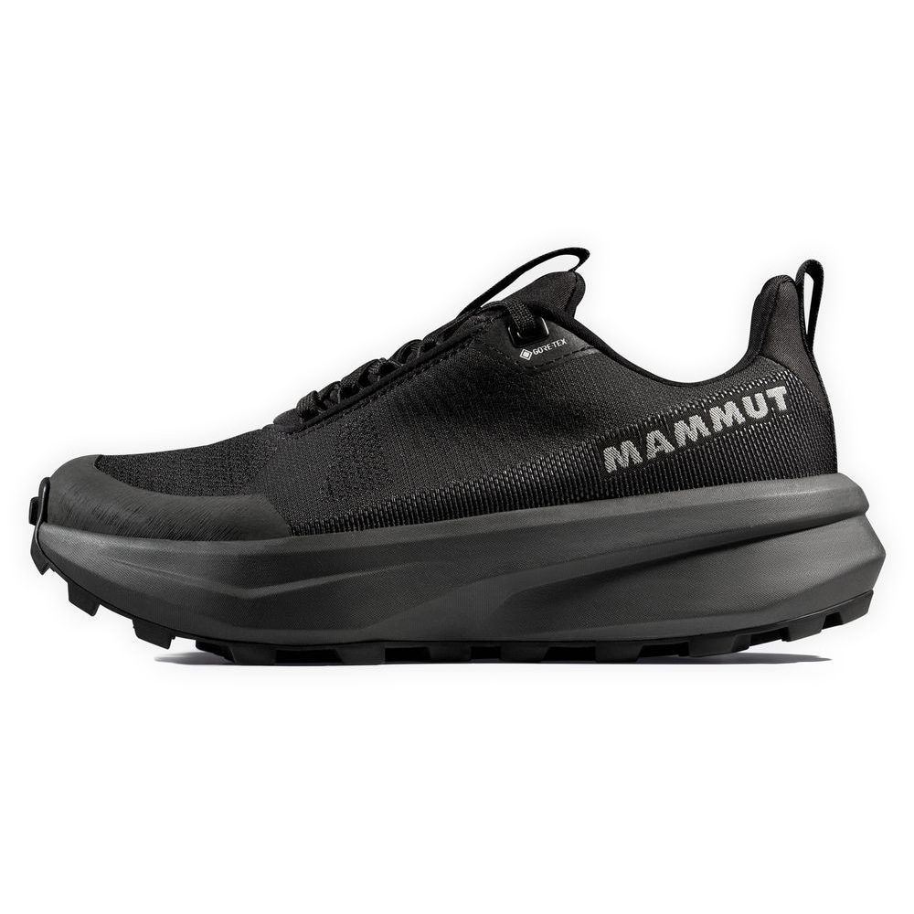 Aenergy Mtn Low GTX Women black-dark steel