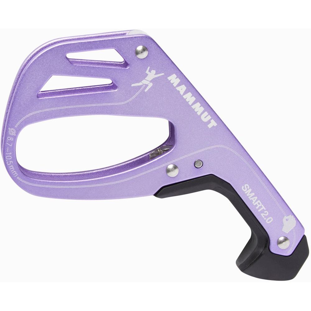 Smart 2.0 alpine calamint