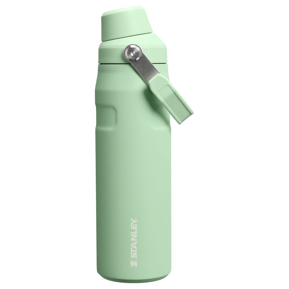 IceFlow™ Bottle Fast Flow 700 ml Pistachio