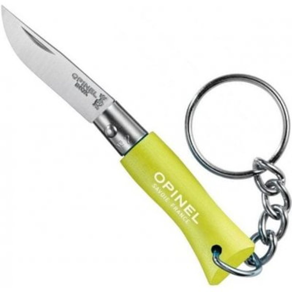 VRI N°02 Klíčenka anýzová