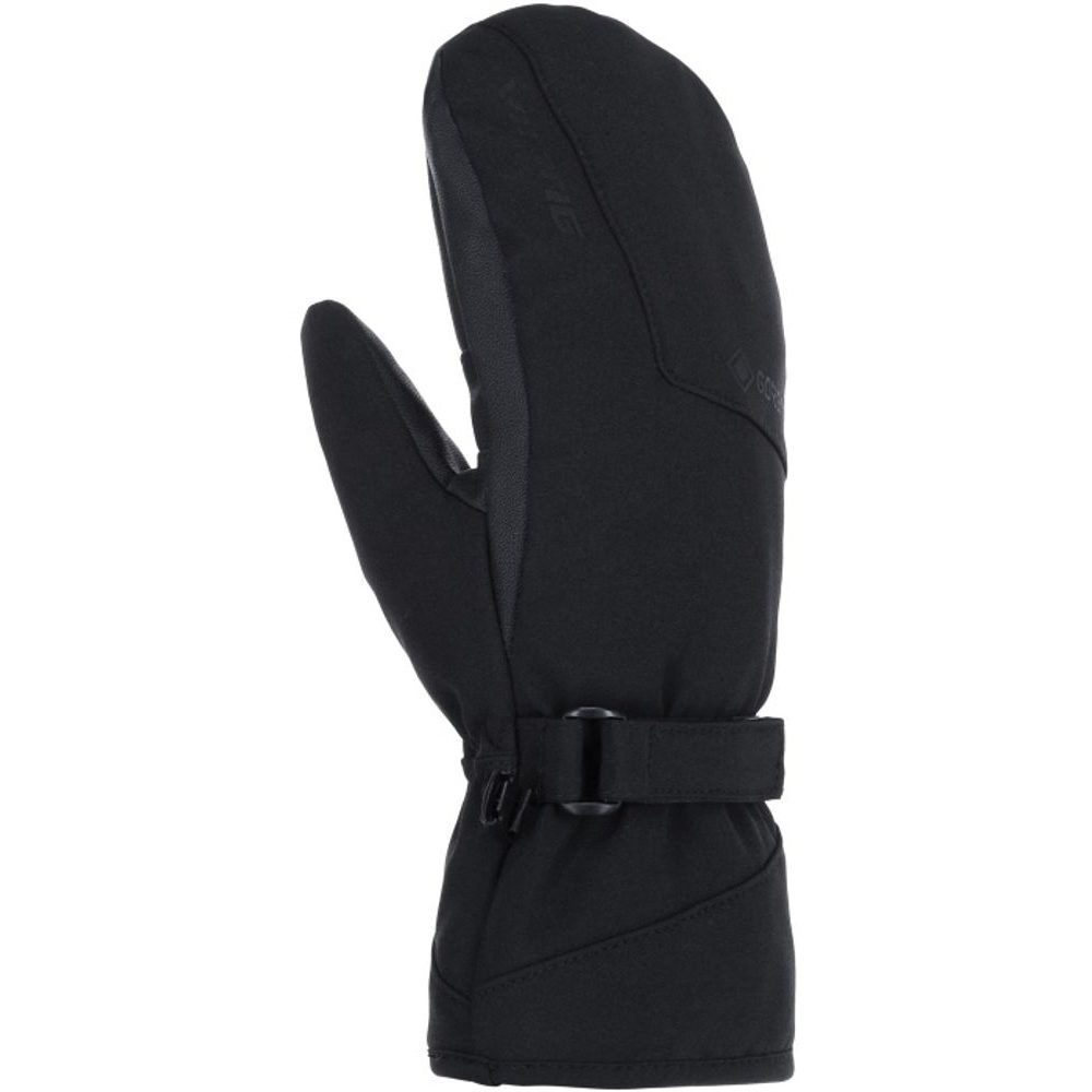 Sherpa 2.0 Gtx Mitten Ski black