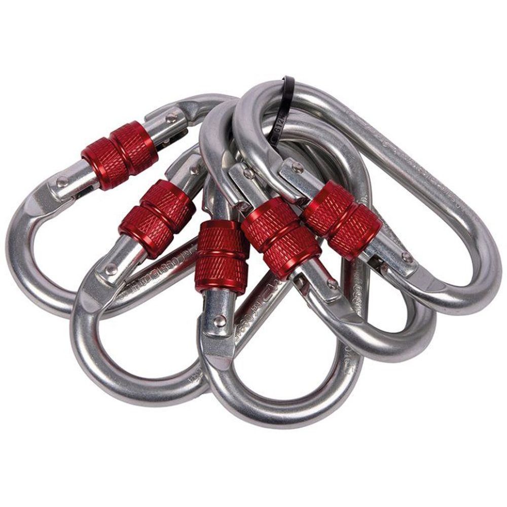 Set 5 Steel Oval Standard Lock