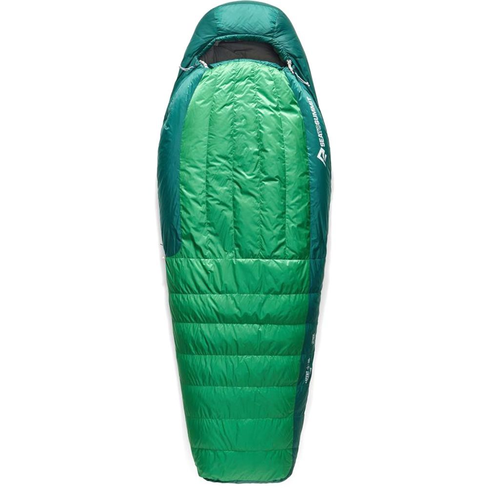 Ascent -1C Down Sleeping Bag Regular Rain Forest Green
