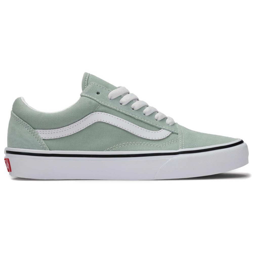 Old Skool COLOR THEORY Gray Olive
