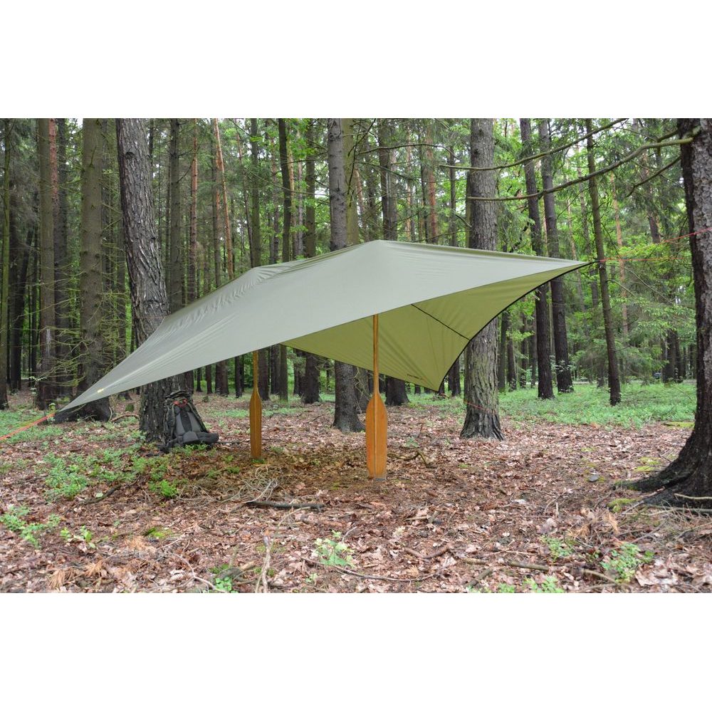 SHELTER olive green