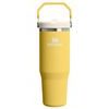IceFlow™ Flip Straw 2.0 Tumbler 890 ml Daffodil