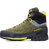 MAMMUT Kento Tour High GTX® Men, iguana-freesia