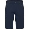 Runbold IV Shorts Men marine