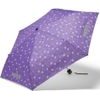 Umbrella - PonyBearadise